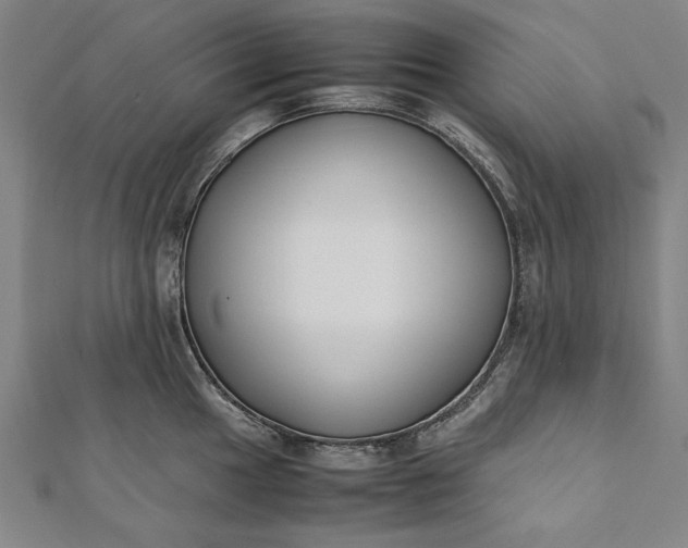 X0000112171049200908211422