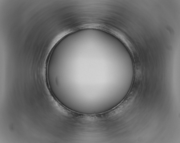 X0000112171050200908211422