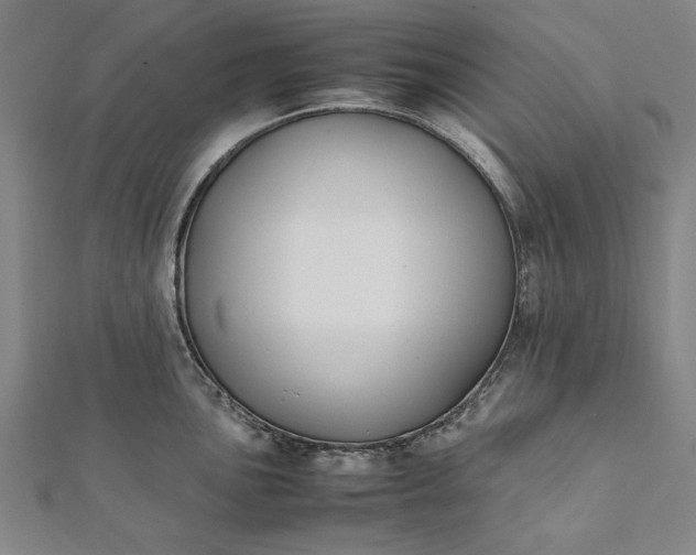 X0000112171051200908211422