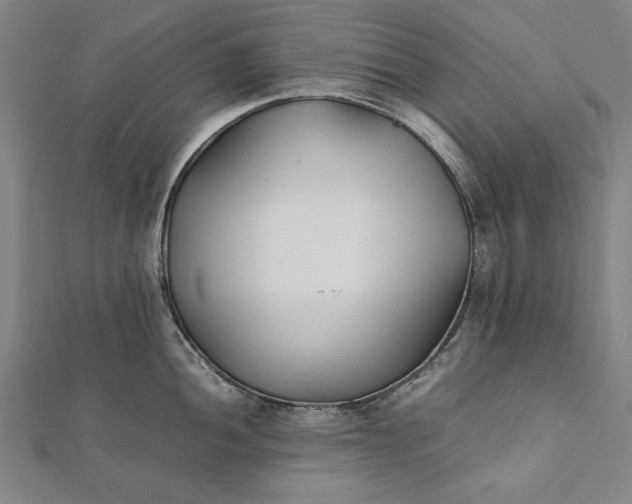 X0000112171052200908211422