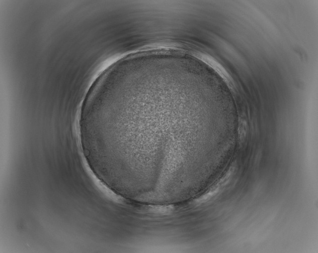 X0000112171055200908211422