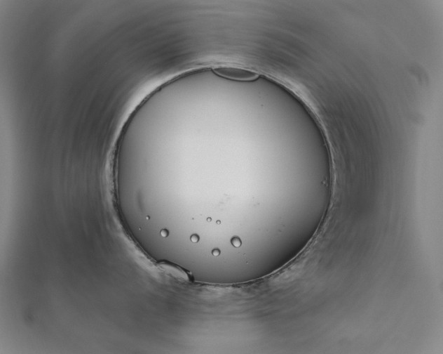 X0000112171056200908211422