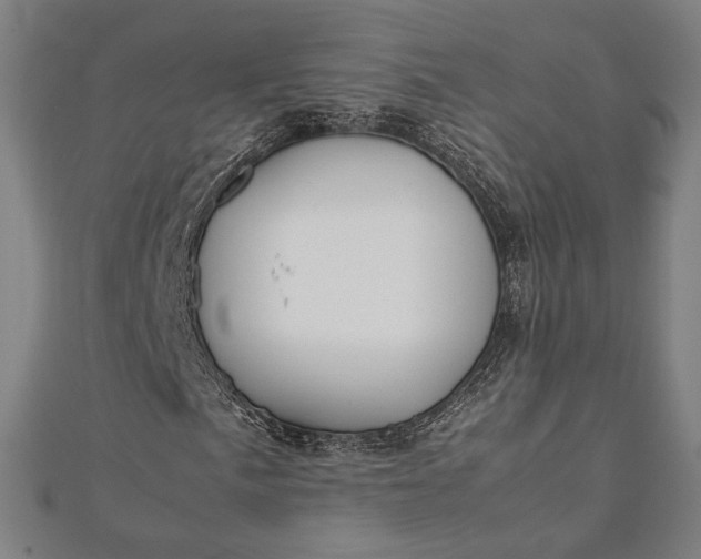 X0000112171057200908211421