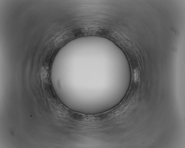 X0000112171059200908211421