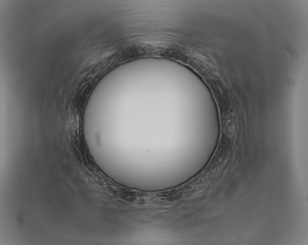 X0000112171061200908211421