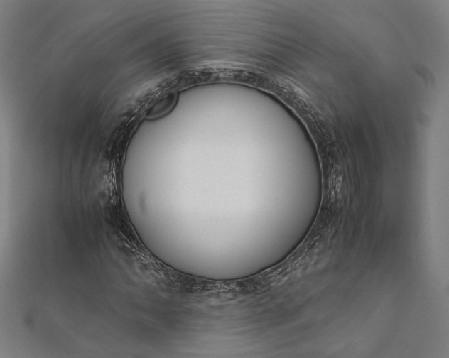 X0000112171062200908211421