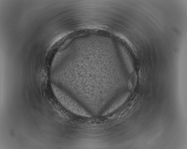 X0000112171064200908211421