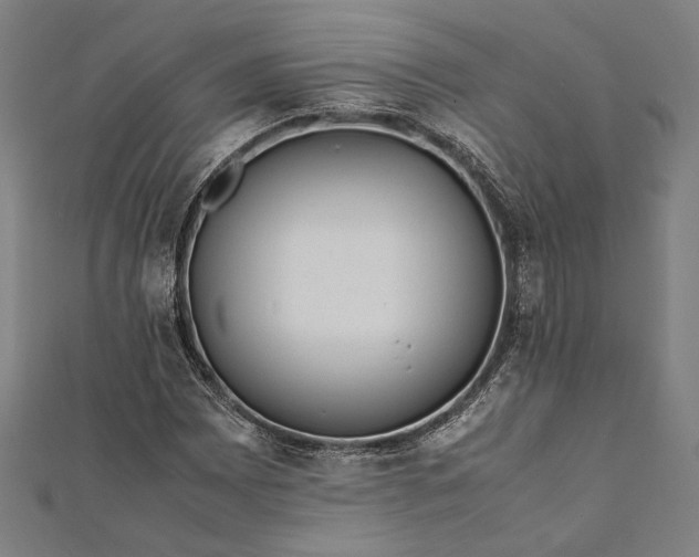 X0000112171065200908211421