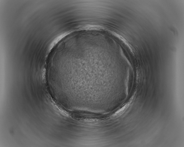 X0000112171066200908211421