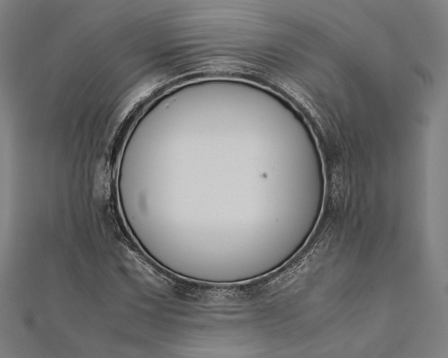 X0000112171067200908211421