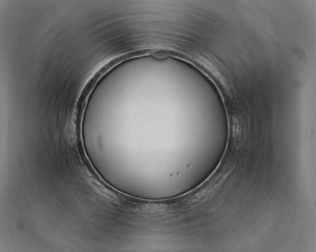 X0000112171068200908211421