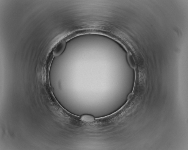 X0000112171069200908211421