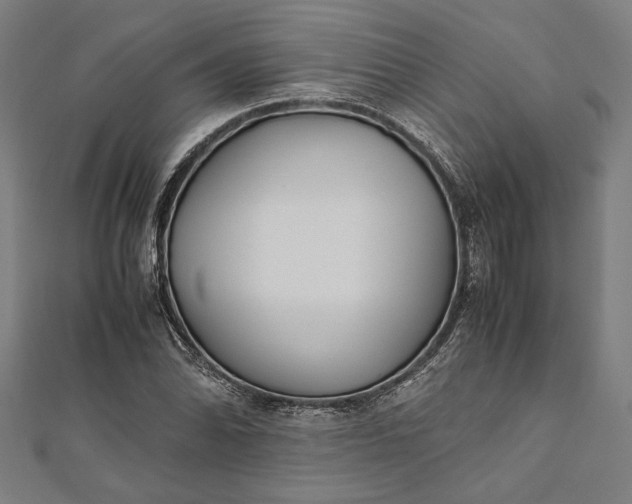 X0000112171070200908211421