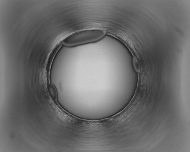 X0000112171072200908211421