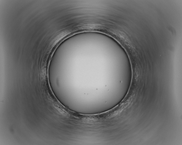 X0000112171073200908211421