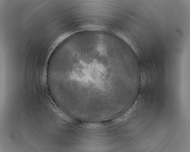 X0000112171074200908211421