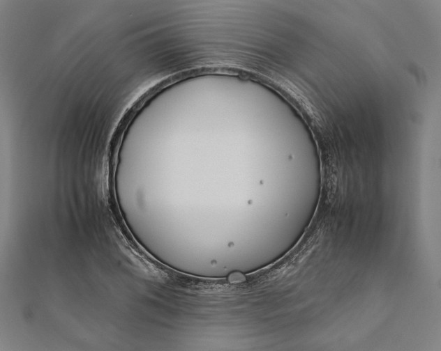 X0000112171076200908211421