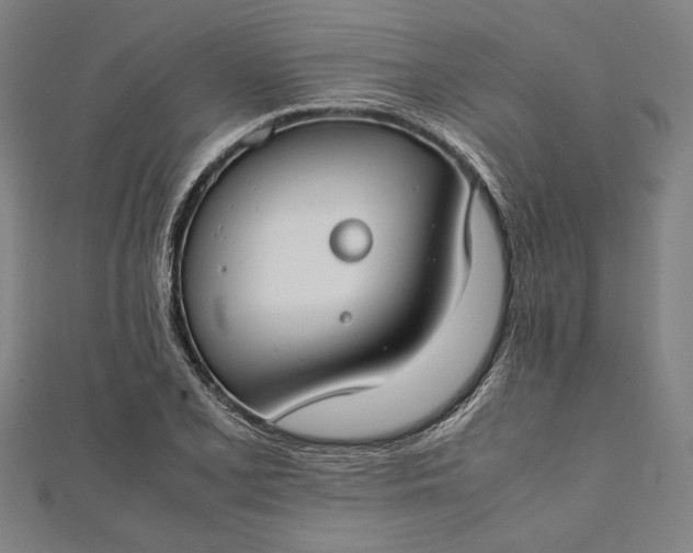 X0000112171077200908211421