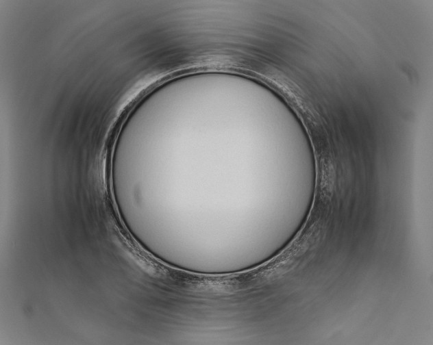 X0000112171078200908211421