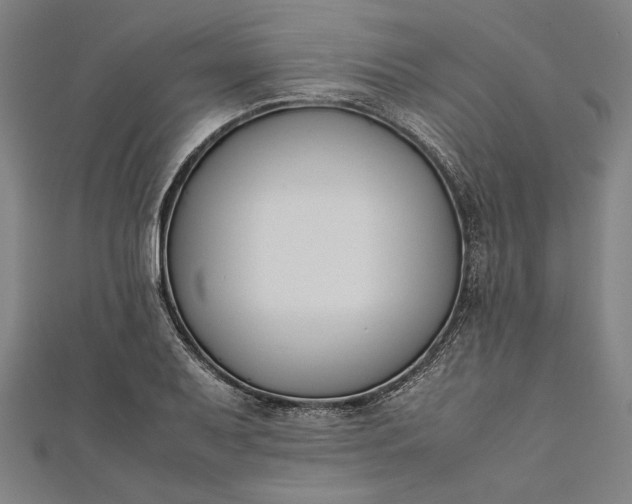 X0000112171079200908211421