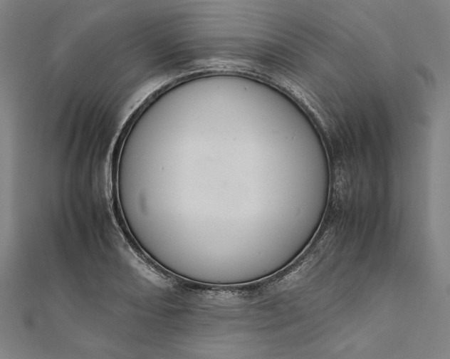 X0000112171082200908211421