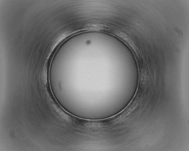 X0000112171083200908211421