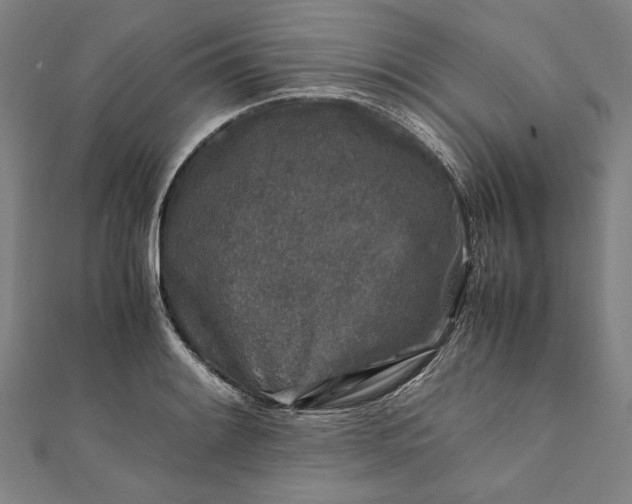 X0000112171084200908211421