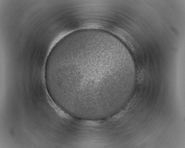 X0000112171086200908211421