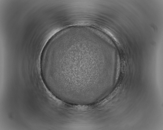 X0000112171087200908211421