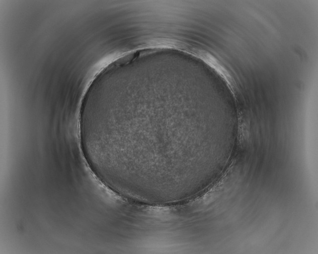 X0000112171088200908211421