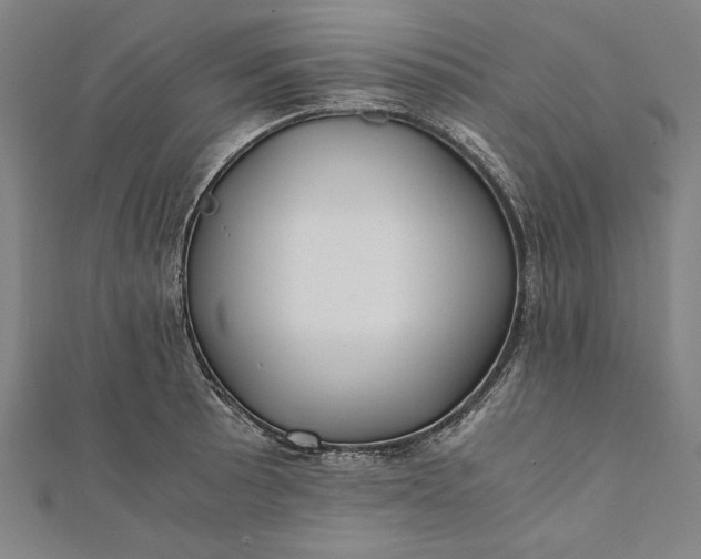 X0000112171089200908211421