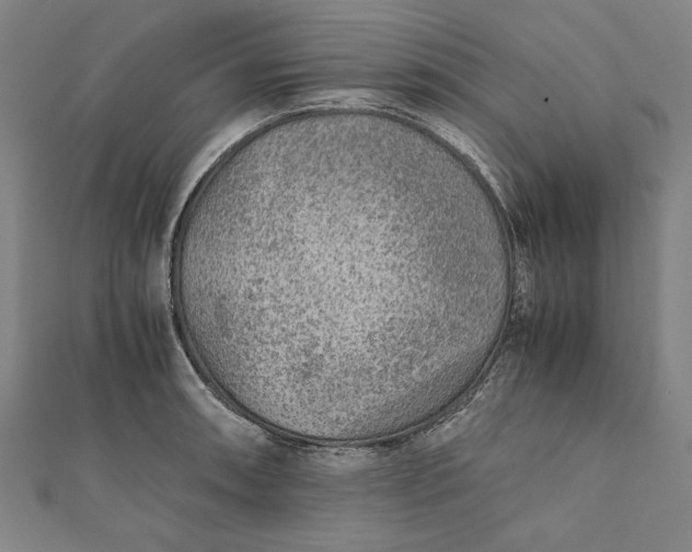 X0000112171090200908211421