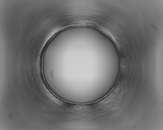 X0000112171091200908211421