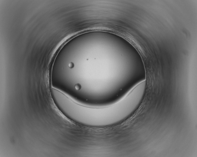 X0000112171092200908211421