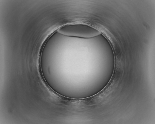 X0000112171093200908211421