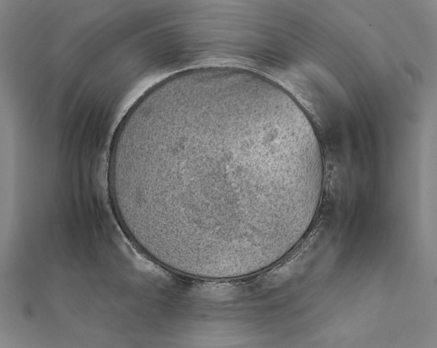 X0000112171094200908211421