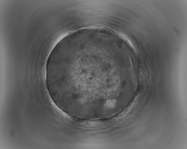 X0000112171095200908211420