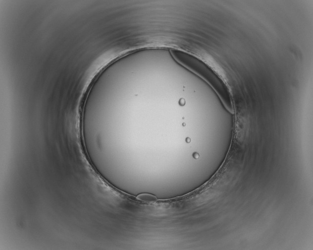 X0000112171096200908211420