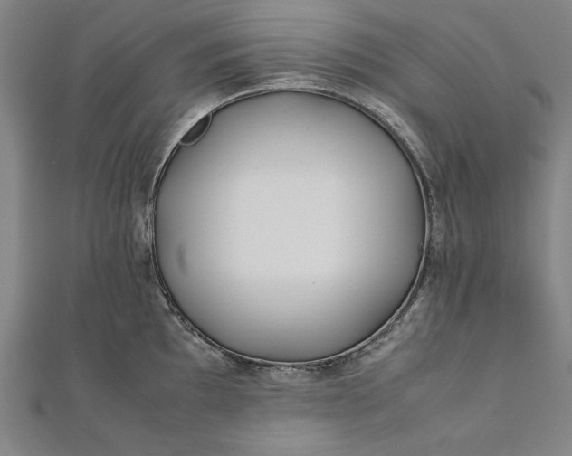 X0000112171097200908211420