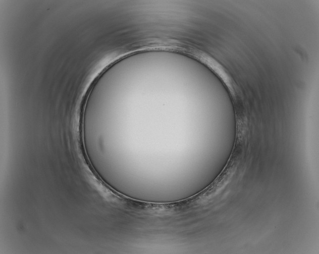 X0000112171099200908211420