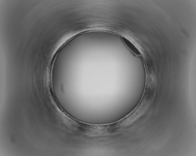 X0000112171101200908211420