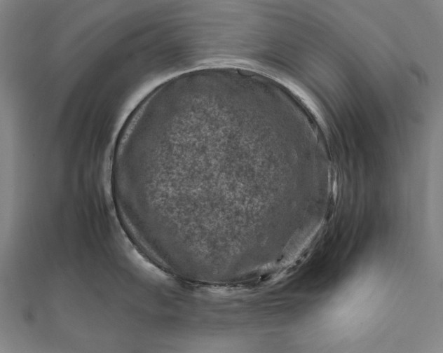 X0000112171102200908211420