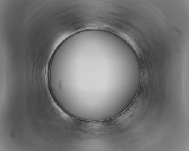 X0000112171103200908211420