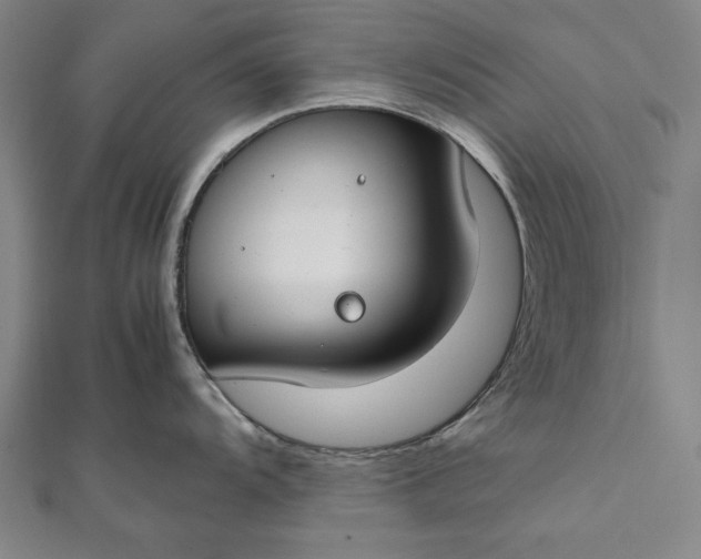 X0000112171104200908211420