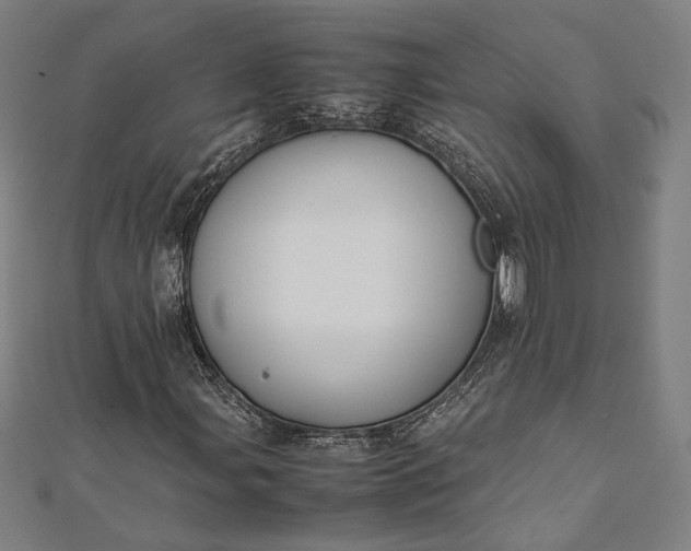 X0000112171107200908211420