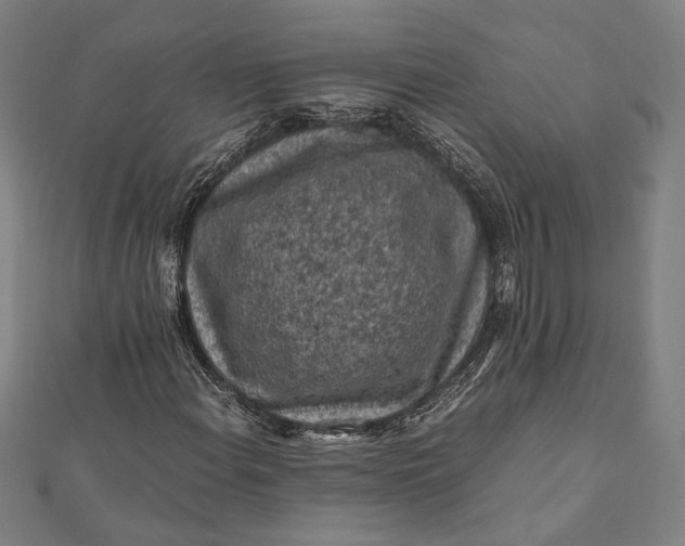 X0000112171108200908211420