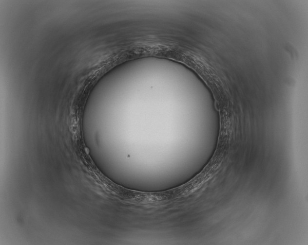 X0000112171109200908211420