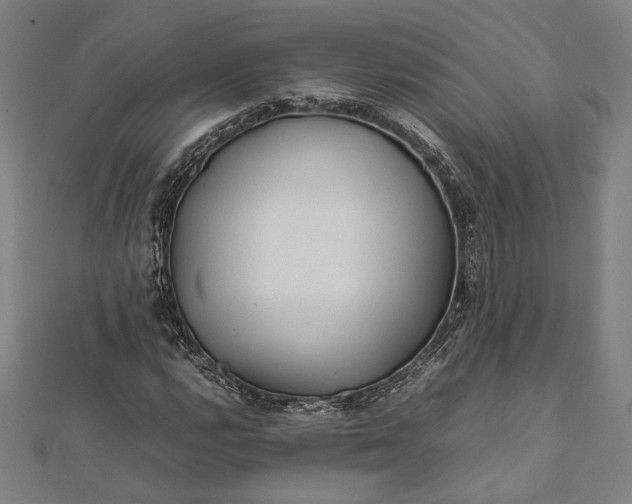 X0000112171112200908211420