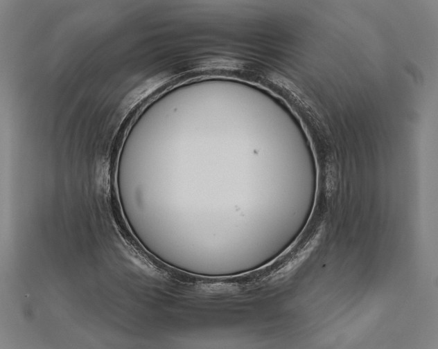 X0000112171113200908211420