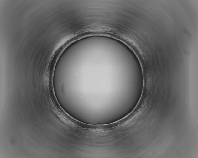 X0000112171114200908211420